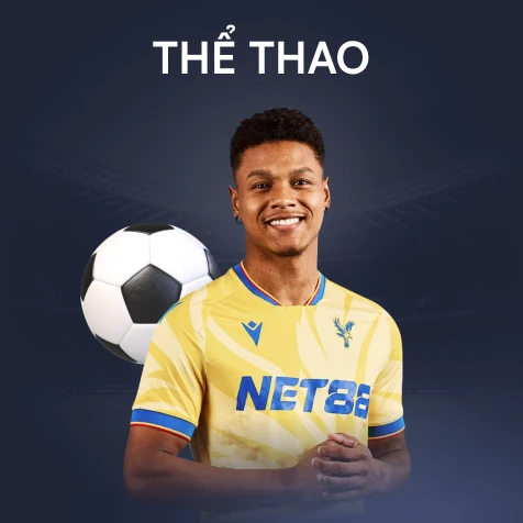 Trang chủ 23 icon tip88 1